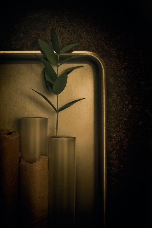Wrapped or Unwrapped? (Tray Series #2)