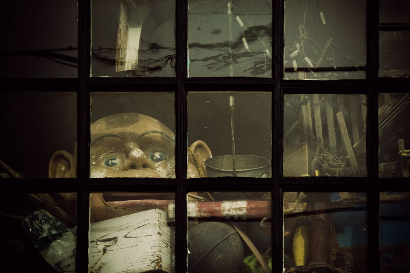 The Window