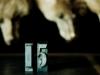 Fifteen (Number Series)