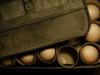 Eggs (Alphabet Series-E)