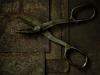 Shears