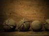 Bound or Unbound (Bound Series #8); (Tied, Bound, Bundled, Laced Series #14)