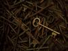 The Golden Key #7