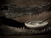 Crocodile Tears Soup