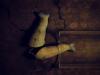 Toppled #23