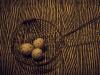 Numbers Series #3: Number Three: Three Eggs